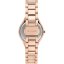 Dámske hodinky Trussardi Small Wrist R2453157503