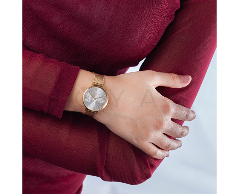 Dámské hodinky Morellato Ninfa R0153141501