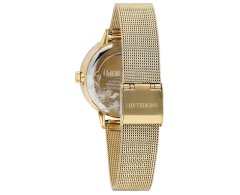 Dámské hodinky Morellato Ninfa R0153141501