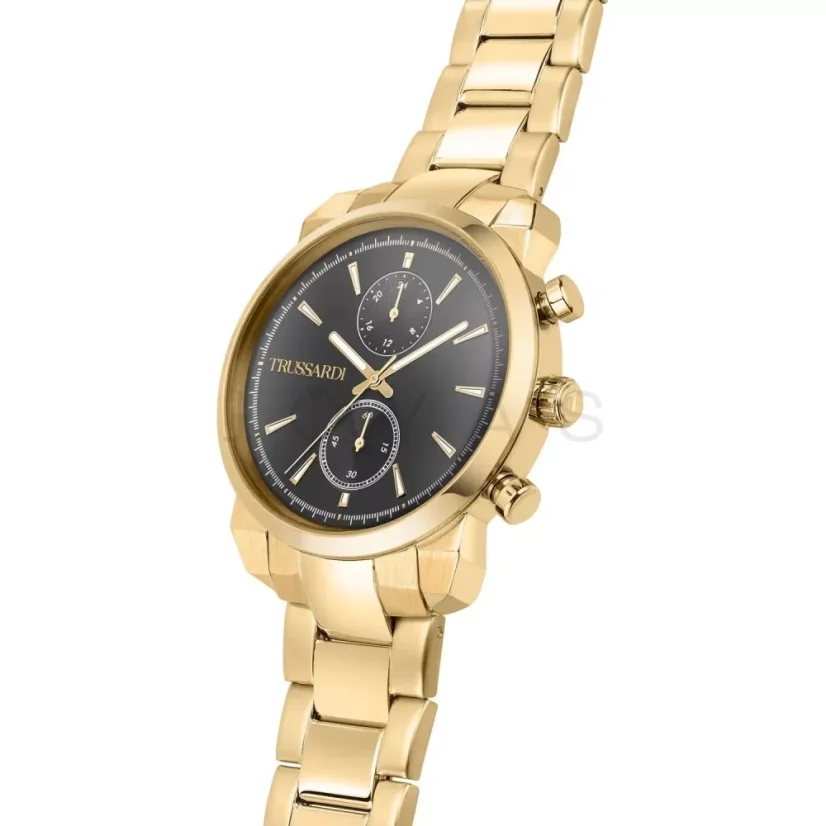 Pánské hodinky Trussardi T-City R2453154001