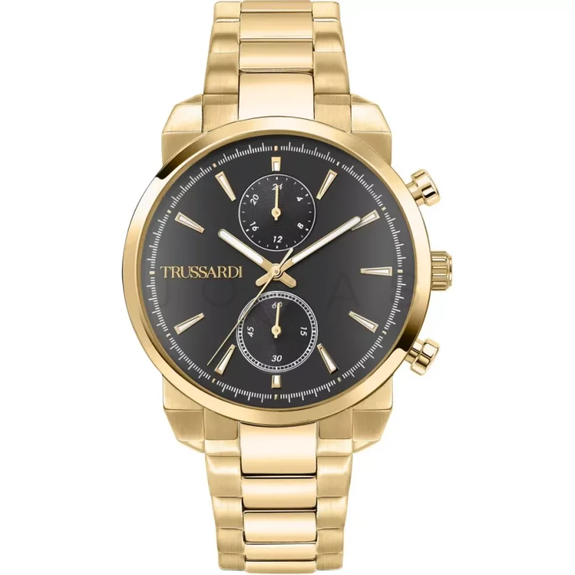 Pánské hodinky Trussardi T-City R2453154001