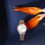 Dámské hodinky Trussardi City Life R2453170501