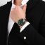 Pánske hodinky Trussardi Metropolitan R2453159001