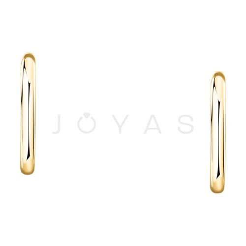 Dámské stříbrné náušnice Morellato Tesori SAIW249