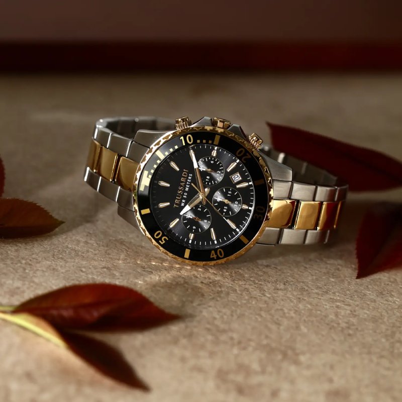 Pánské hodinky Trussardi City Life R2453169002