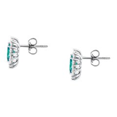 Dámske strieborné náušnice Morellato Tesori SAIW286