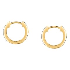 Dámske strieborné náušnice Morellato Tesori SAIW248