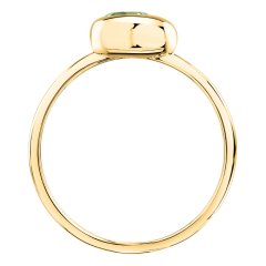 Dámský stříbrný prsten Morellato Tesori Eterni SAXN25