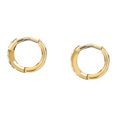 Dámské náušnice Trussardi T-Logo TJAXC87