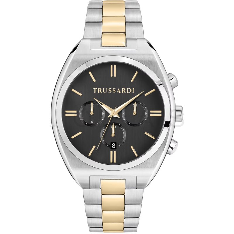 Pánské hodinky Trussardi Metropolitan R2453159009