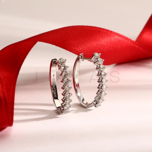 Dámske strieborné náušnice Morellato Tesori SAIW265