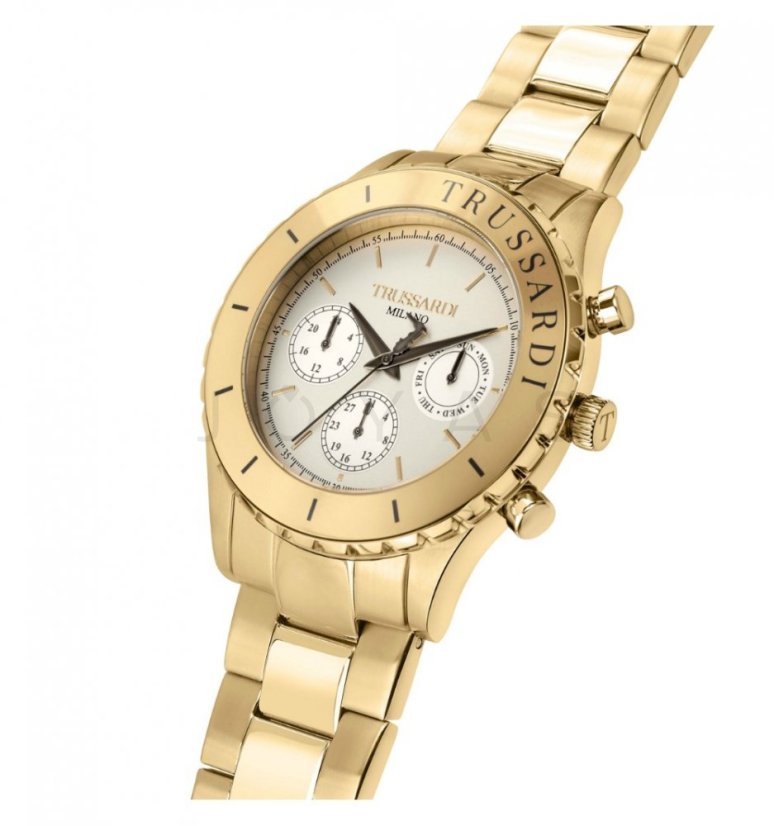 Pánske hodinky Trussardi T-Logo R2453143006