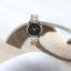 Pánské hodinky Trussardi Metropolitan R2453159009