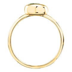 Dámský stříbrný prsten Morellato Tesori Eterni SAXN25