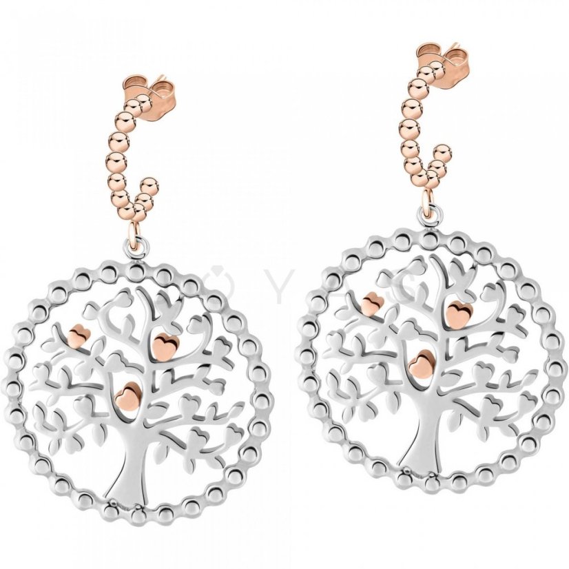 Dámské náušnice Morellato Talismani SAQE12