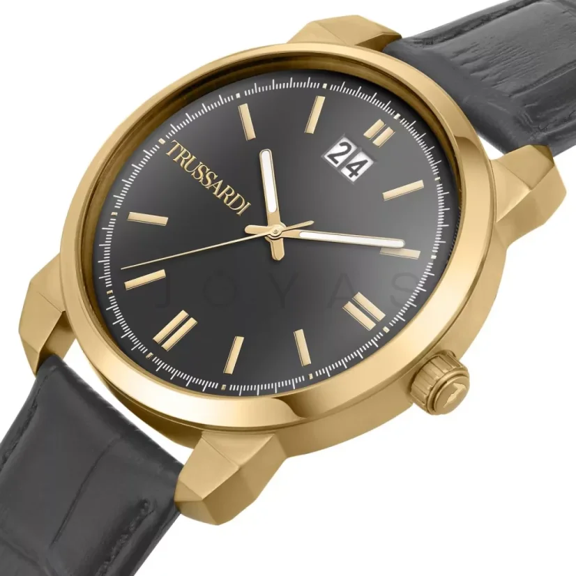 Pánske hodinky Trussardi T-City R2451154002