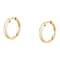 Dámske strieborné náušnice Morellato Tesori SAIW249